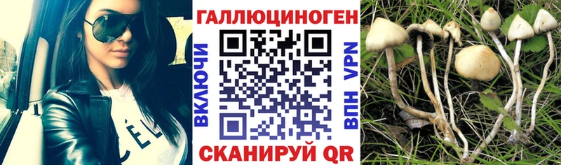 Купить где  Минусинск  Псилоцибиновые грибы прущие грибы 